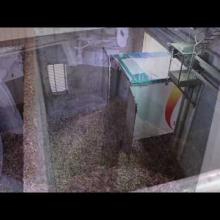 Vignette - Livraison plaquettes forestières