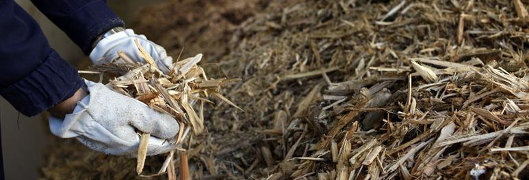 32c57e1-1006-raw-Photo-biomasse-.jpg